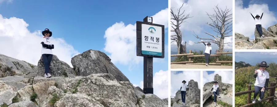 산악회 디자인 샘플 2