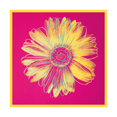 앤디 워홀 / Daisy(Fuschia and Yellow) 액자