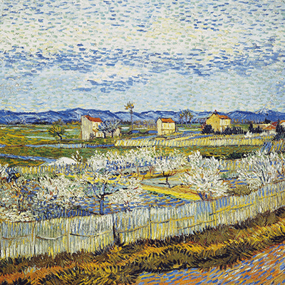 Peach Trees in Blossom 액자